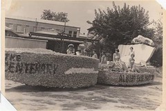 Albury Base Hospital Collection