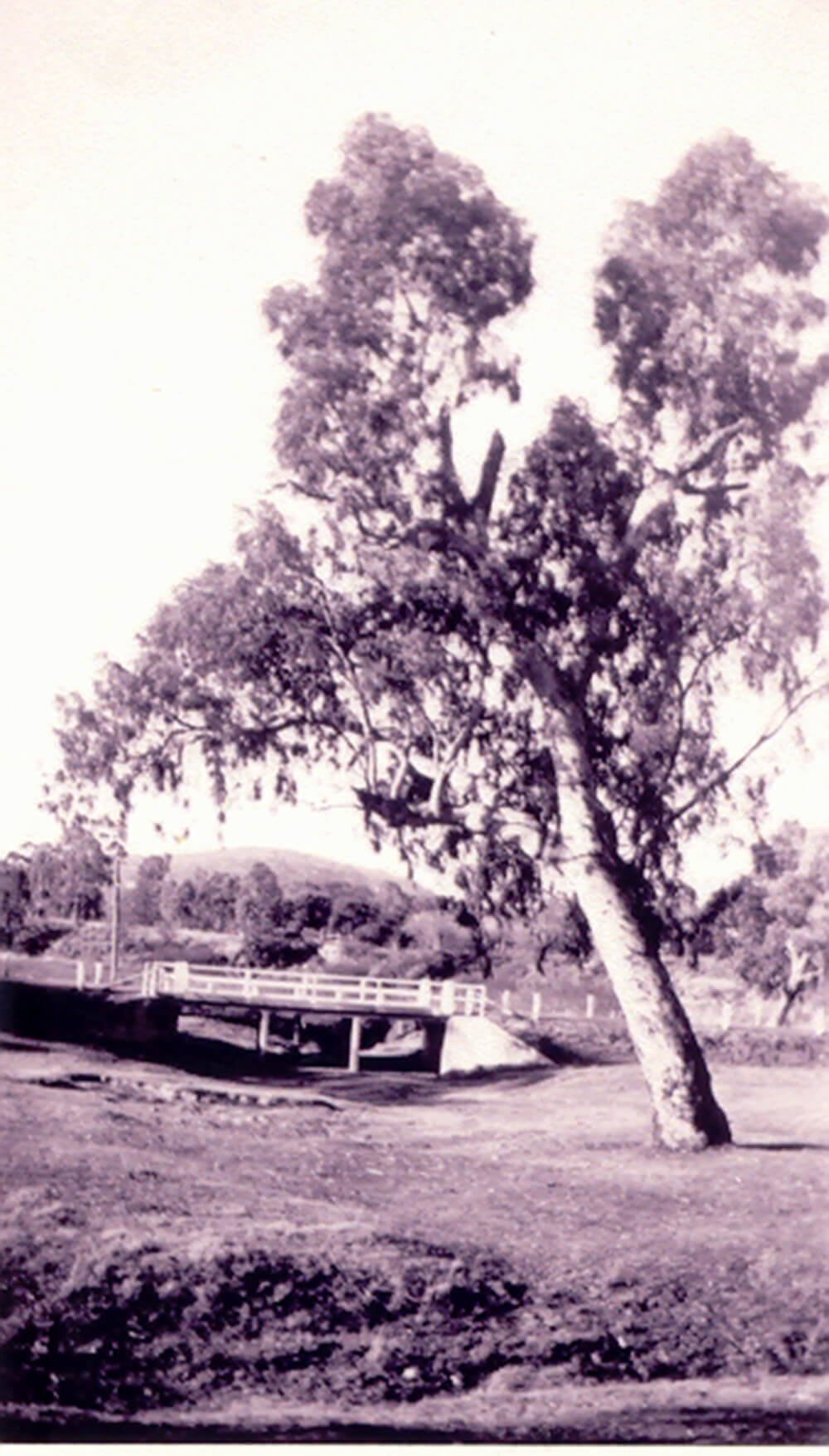 First bridge on Urana Road, 1931<br>Image courtesy of Lavington & District Family History Society