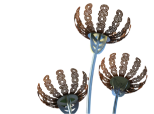 bloom