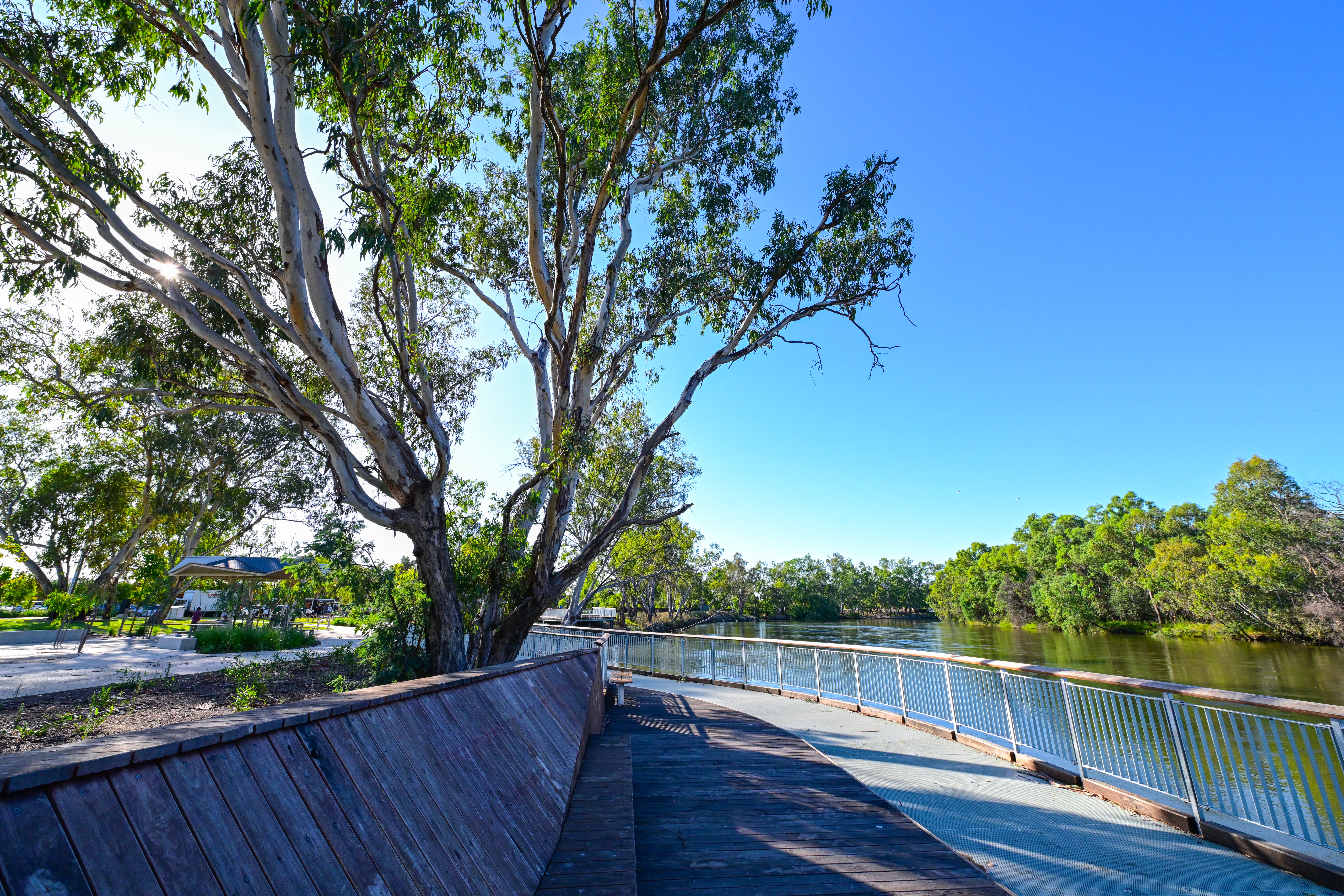 River trees Riverside Precinct