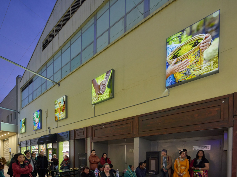 Photo of 'Treasured' by Helen Newman on display at the Laneway lightbox Open-air Gallery